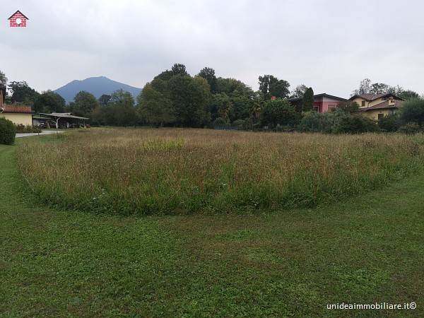 immagine annuncio 4 di 8