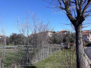 Terreno agricolo in vendita a nereto via g. leopardi, 64015 nereto te, italia