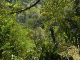 Terreno agricolo in vendita ad asti frazione castiglione