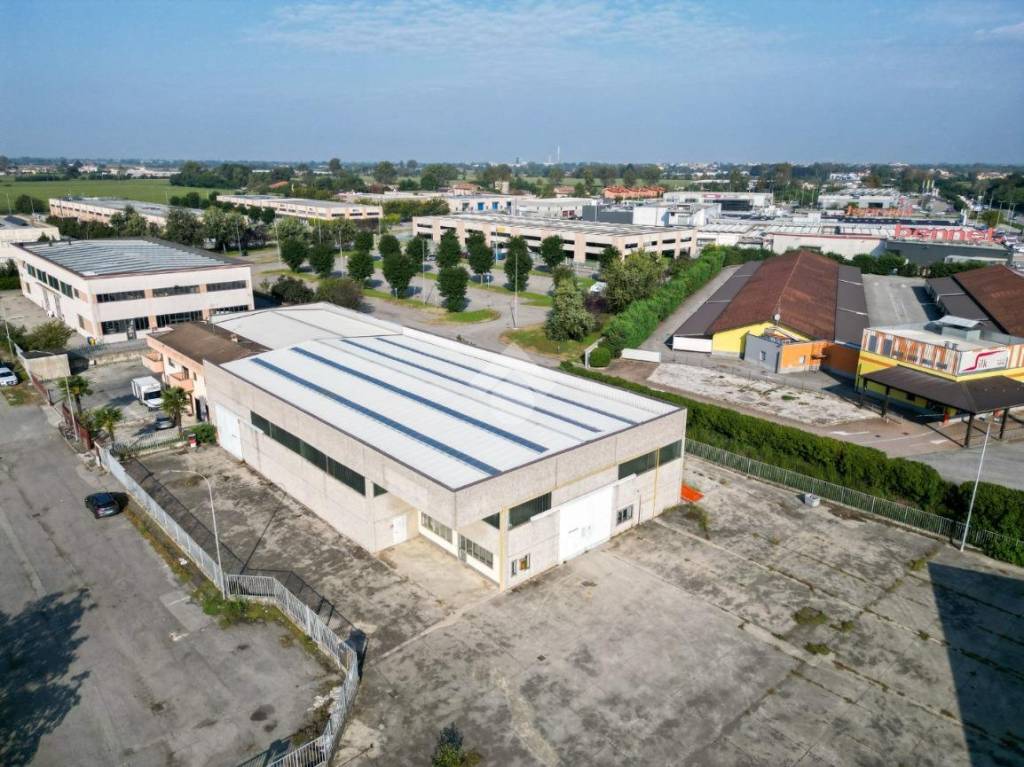 immagine annuncio 9 di 15