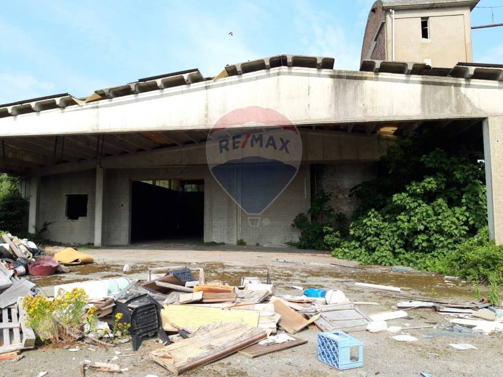 immagine annuncio 13 di 14