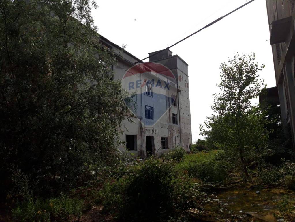 immagine annuncio 5 di 14