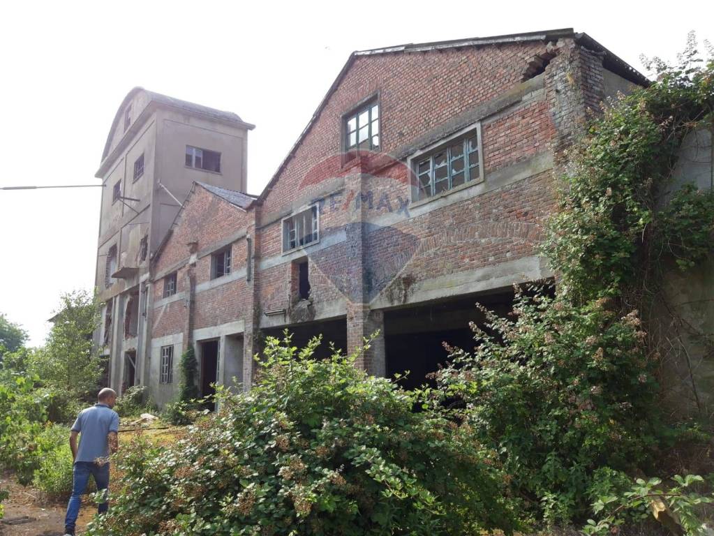 immagine annuncio 6 di 14