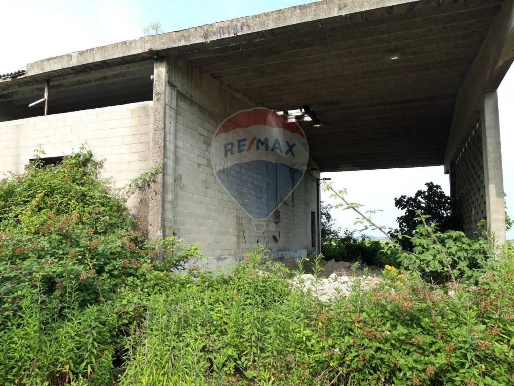 immagine annuncio 10 di 14