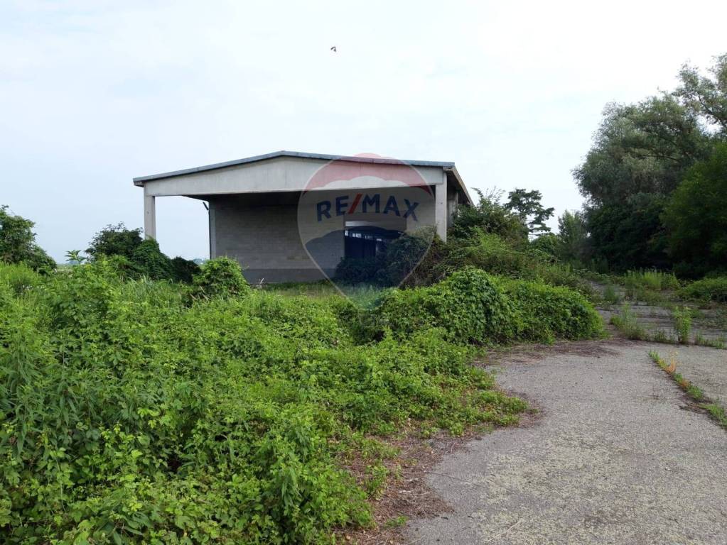 immagine annuncio 11 di 14