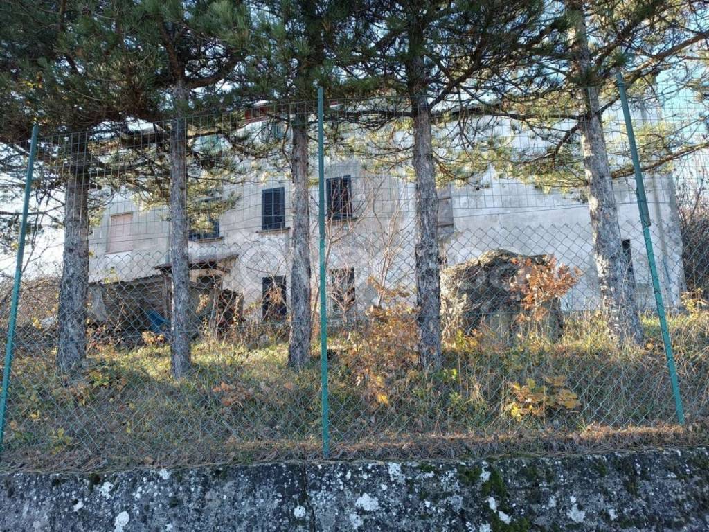 immagine annuncio 1 di 8