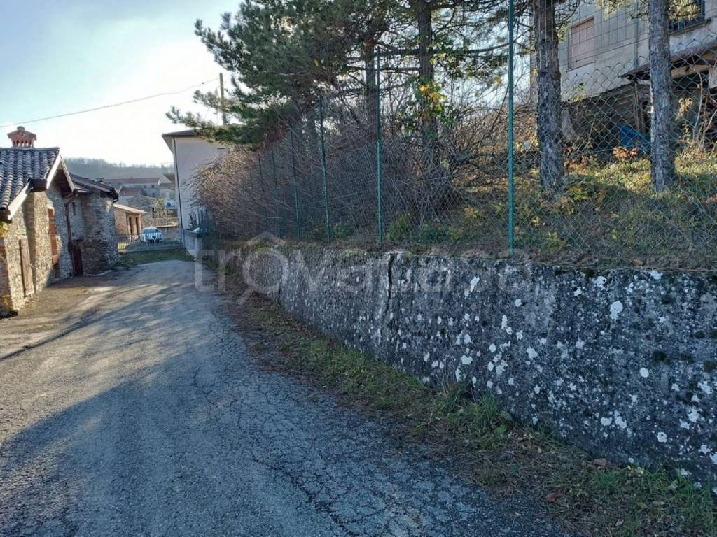 immagine annuncio 5 di 8