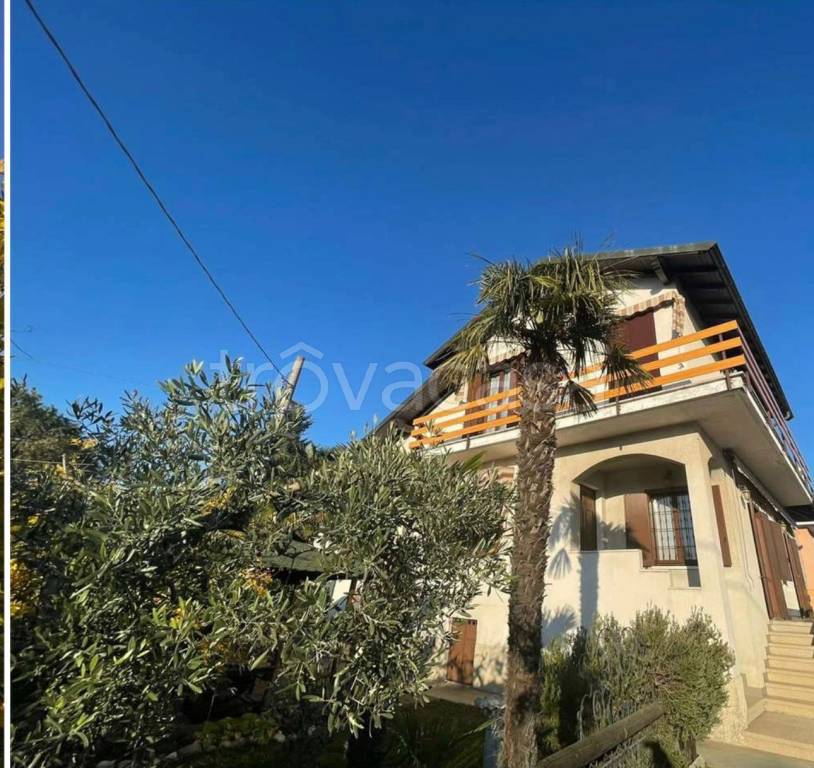 immagine annuncio 3 di 11