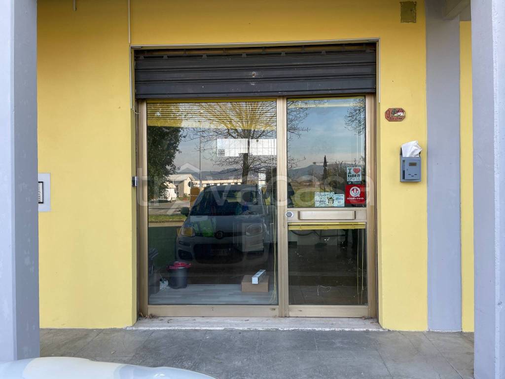 immagine annuncio 3 di 4