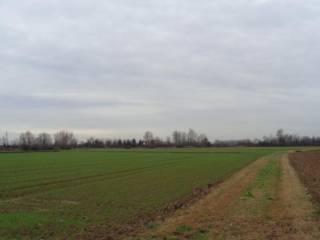 Terreno agricolo in vendita a vigasio frazione forette