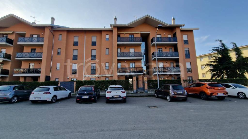 immagine annuncio 5 di 15