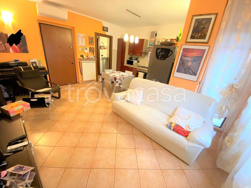 immagine annuncio 9 di 15