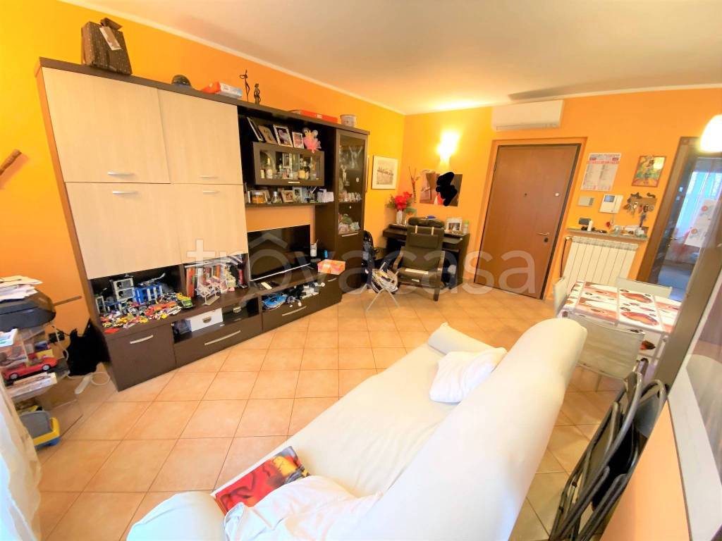 immagine annuncio 10 di 15