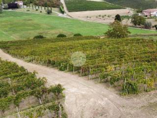 Terreno agricolo in vendita a castelnuovo calcea via gavelli