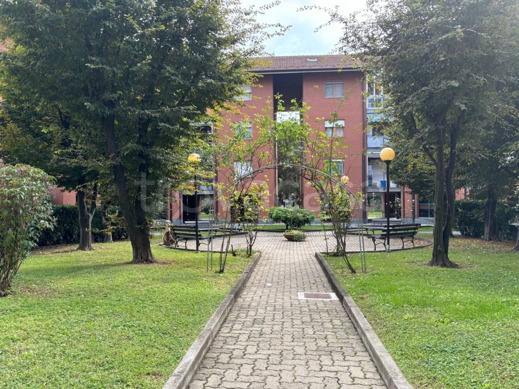 immagine annuncio 4 di 15