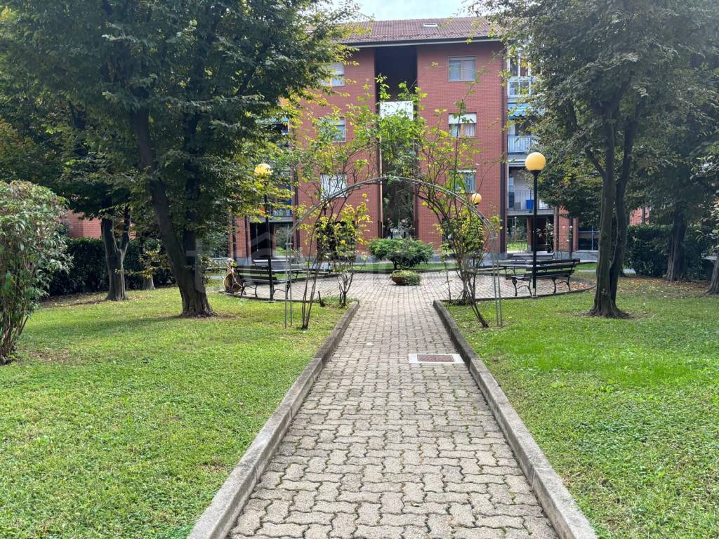 immagine annuncio 5 di 15