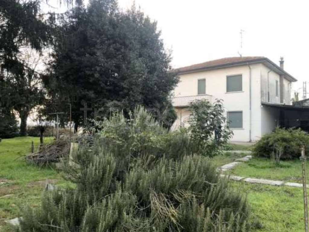 immagine annuncio 7 di 12