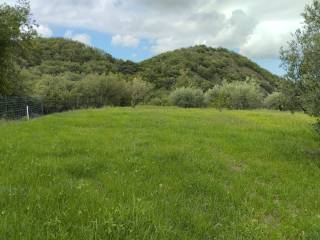 Terreno agricolo in vendita a santa lucia del mela contrada sicaminò