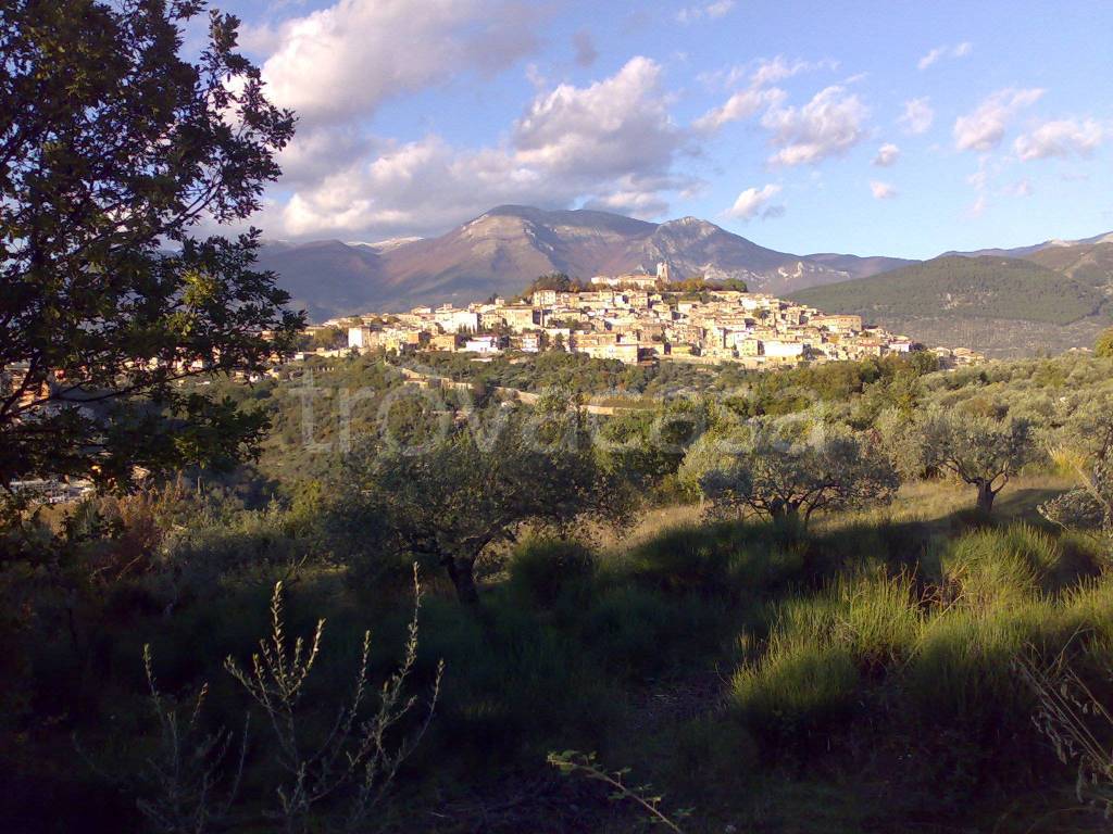 immagine annuncio 4 di 9