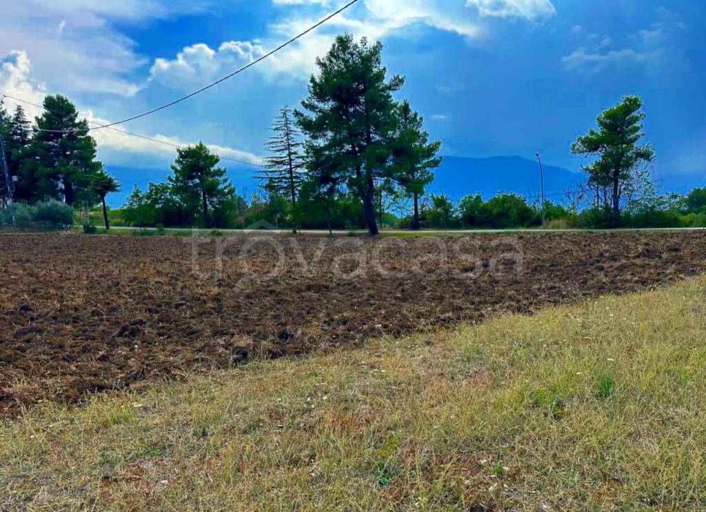immagine annuncio 10 di 13