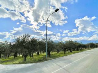 Terreno residenziale in vendita a loreto aprutino contrada fiorano