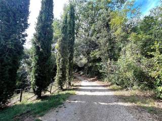 Terreno agricolo in vendita a torri in sabina via collepietro