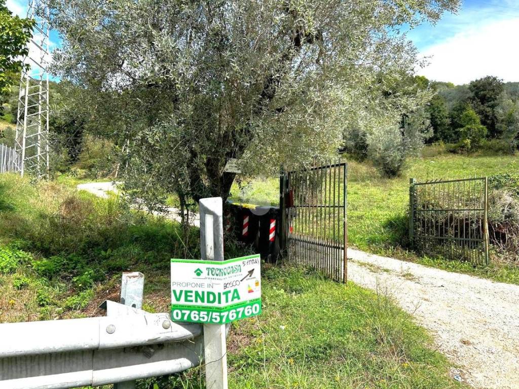 immagine annuncio 12 di 14