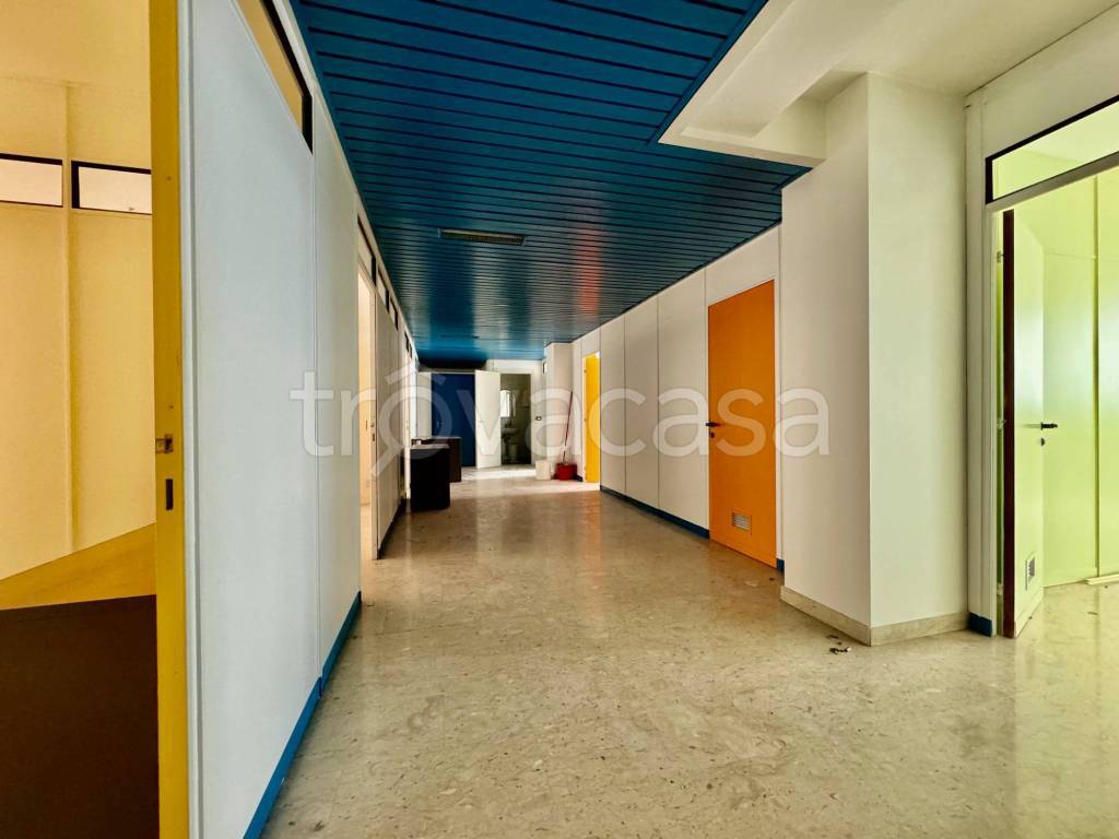 immagine annuncio 2 di 7