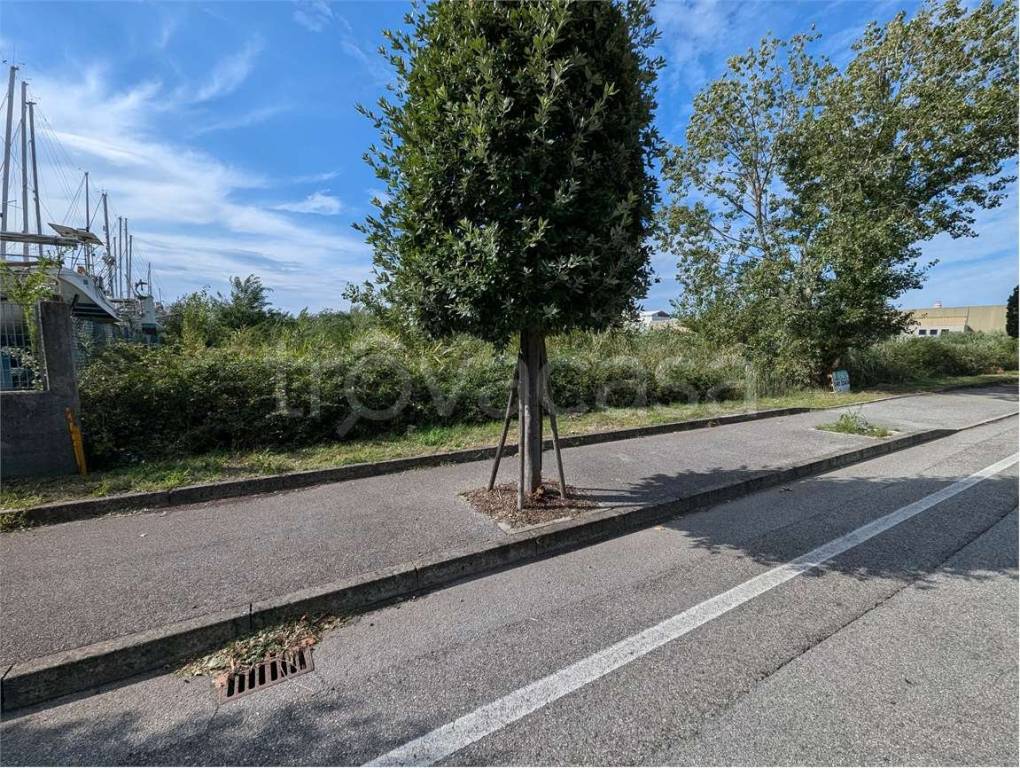immagine annuncio 7 di 14