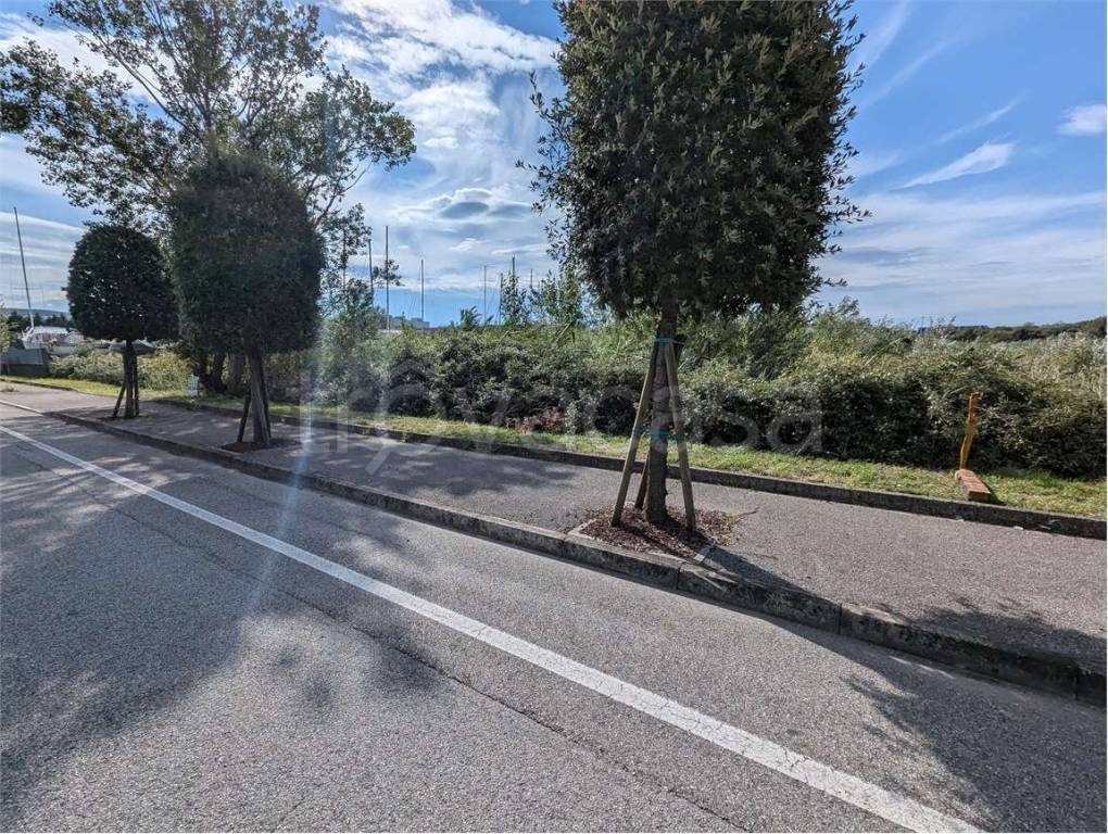 immagine annuncio 9 di 14