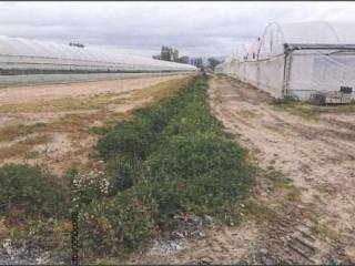 Terreno agricolo in vendita a sabaudia 