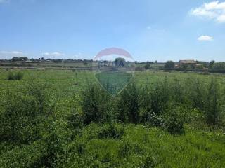 Terreno agricolo in vendita a ragusa contrada robanova