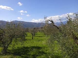 Terreno agricolo in vendita ad amaseno contrada santa lucia