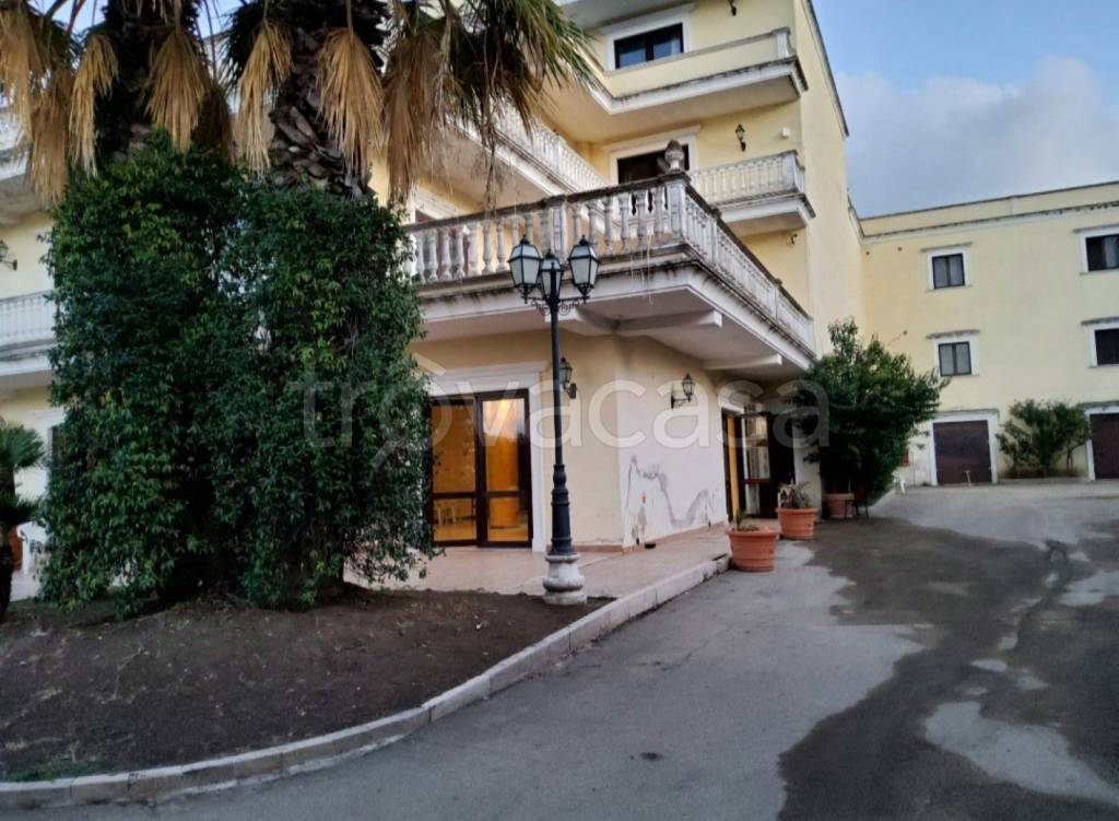 immagine annuncio 4 di 8
