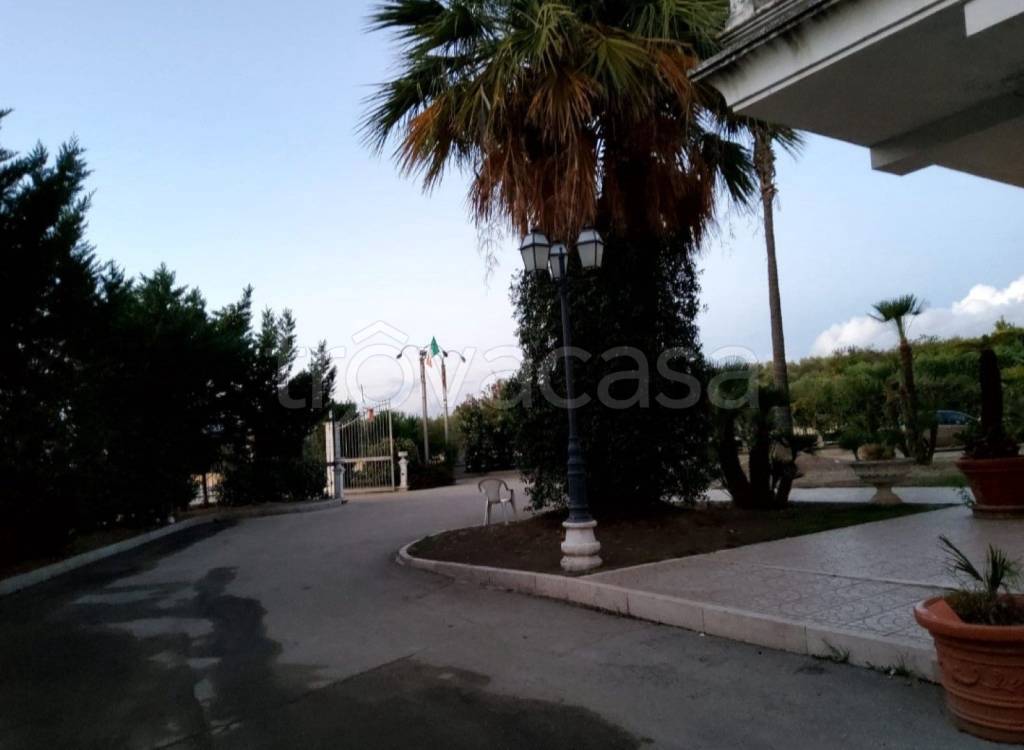 immagine annuncio 6 di 8