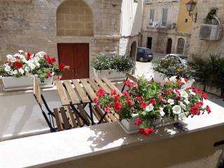 Appartamento in affitto a trani via la giudea