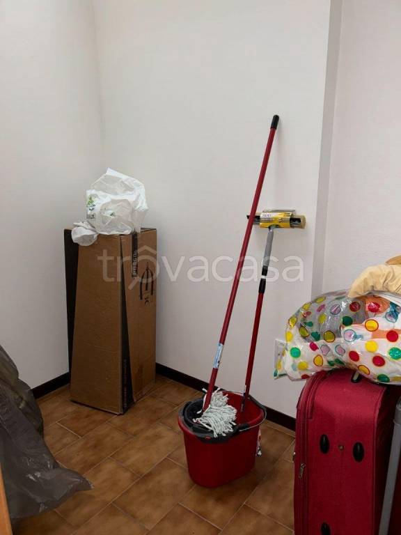 immagine annuncio 6 di 14