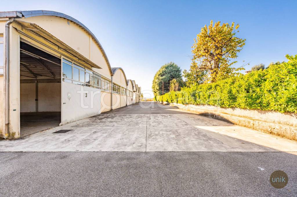 immagine annuncio 8 di 12