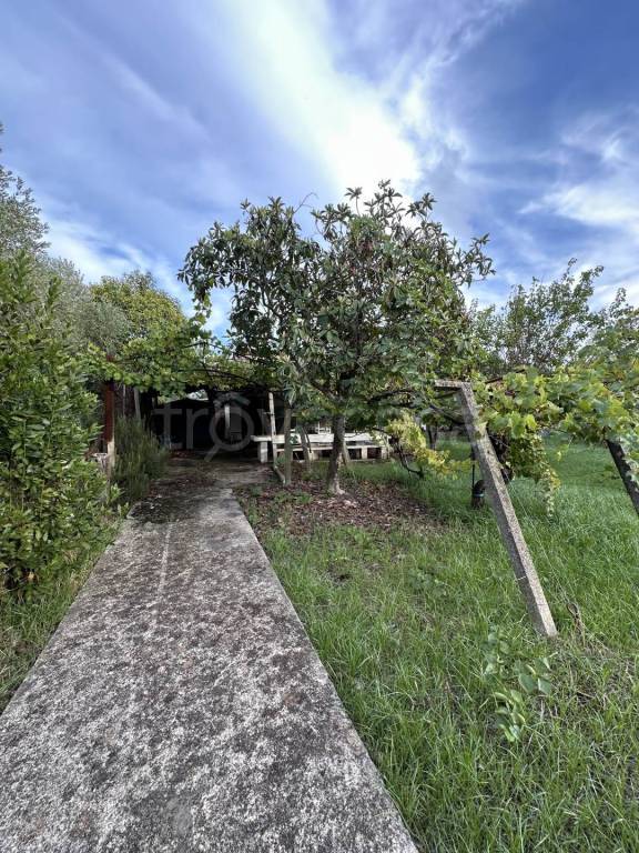 immagine annuncio 2 di 11