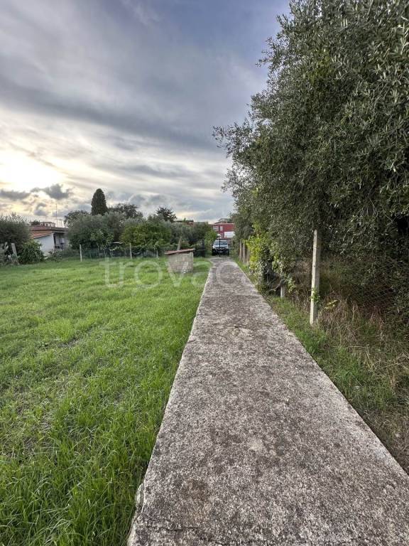 immagine annuncio 5 di 11