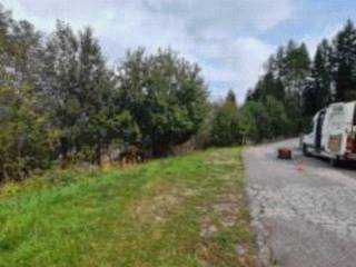 Terreno agricolo in vendita a cibiana di cadore via masariè