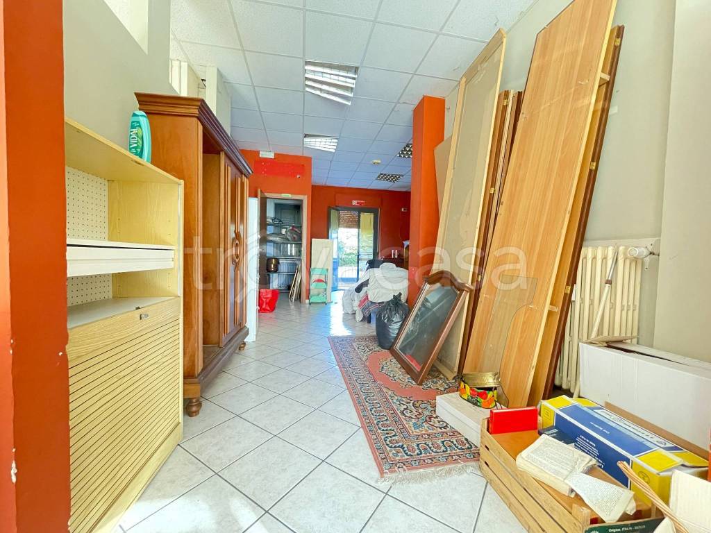 immagine annuncio 5 di 14