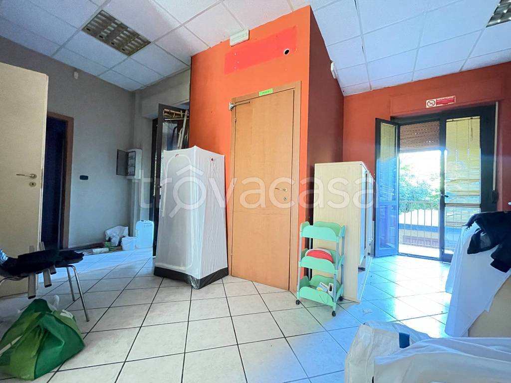 immagine annuncio 7 di 14