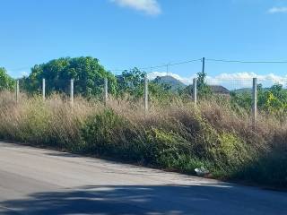 Terreno agricolo in vendita a balestrate contrada bosco falconeria