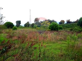 Terreno agricolo in vendita a viareggio via della gronda