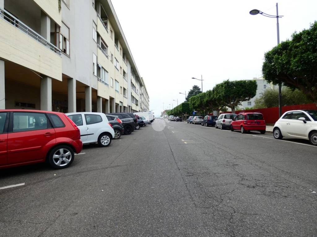 immagine annuncio 6 di 7