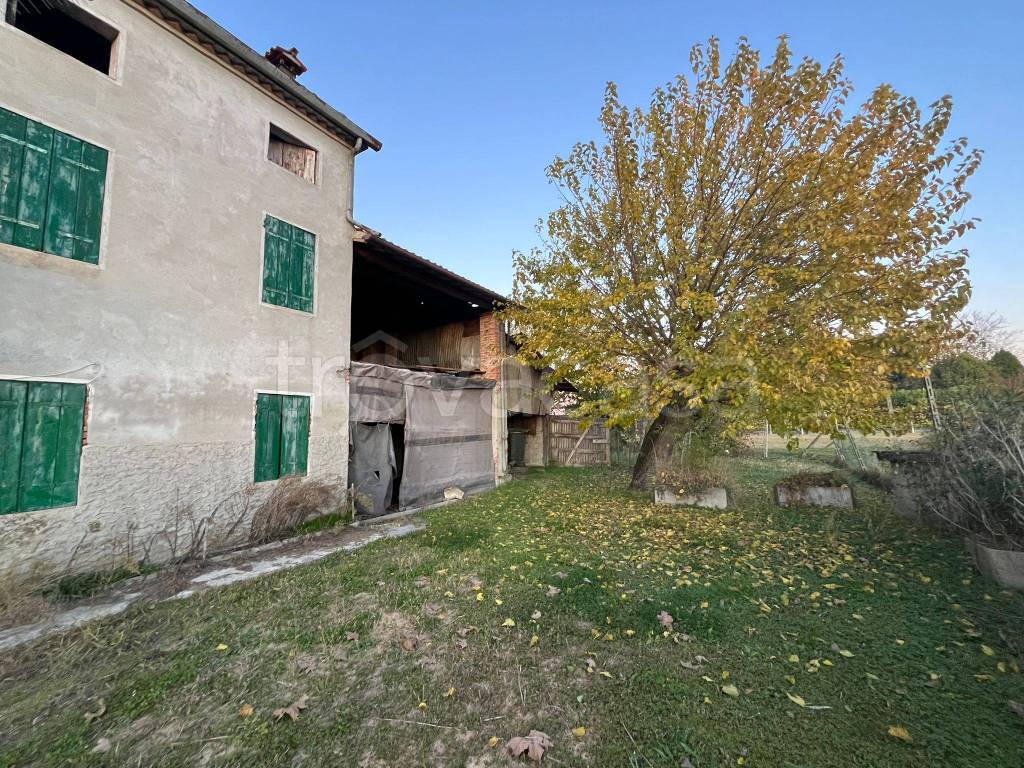 immagine annuncio 3 di 7