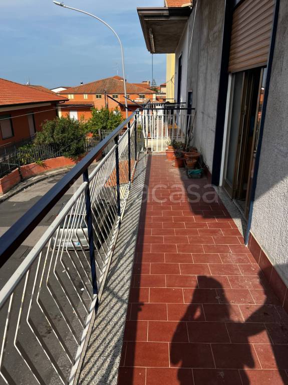 immagine annuncio 11 di 14