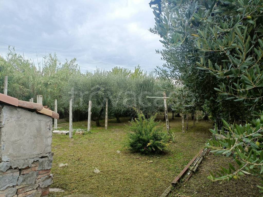 immagine annuncio 1 di 6