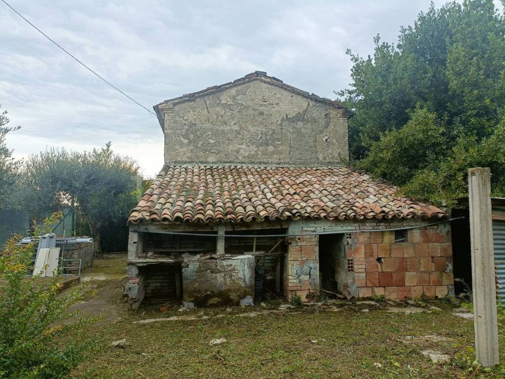 immagine annuncio 4 di 6